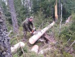 img-20250427-wa0007