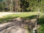img-20250522-wa0006