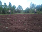img-20250523-wa0004
