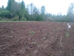 img-20250523-wa0009