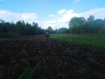 img-20250523-wa0011