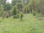 img-20250530-wa0000