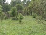 img-20250530-wa0002