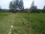 img-20250602-wa0005