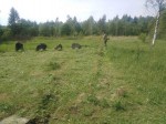 img-20250602-wa0009