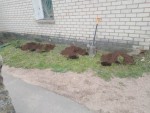 img-20250603-wa0025
