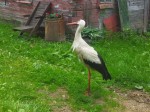 img-20250608-wa0007
