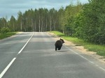 img-20250610-wa0000