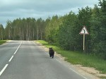 img-20250610-wa0002