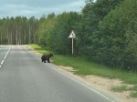 img-20250610-wa0003