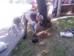 img-20250703-wa0032