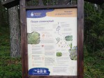 img-20250717-wa0041