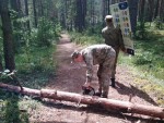 img-20250717-wa0062