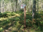 img-20250818-wa0007