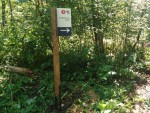 img-20250818-wa0009