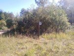 img-20250912-wa0019