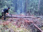 img-20251101-wa0001