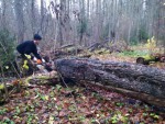 img-20251101-wa0003