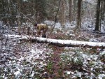 img-20251121-wa0000