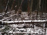 img-20251121-wa0003