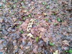 img-20251215-wa0007