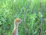 img_0332
