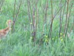 img_0333