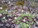 img_20200426_164206