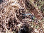 img_20200426_164933