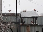 img_20230228_112317