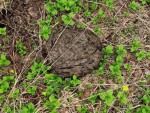 img_20230423_223712_468