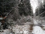 img_20251223_095833_450