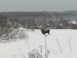 img_20260115_162132_138
