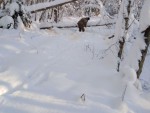 img_20260122_132715_101