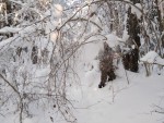 img_20260122_132715_113