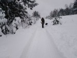 img_20260130_104400_625