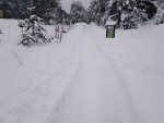 img_20260130_104401_099