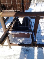 img_20260205_171426_058