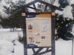 img_20260211_120106_149