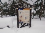 img_20260211_120106_294