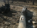 img_20260326_130901_375