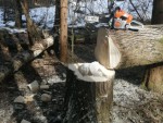 img_20260330_162656_356