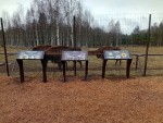 img_20260408_123907_346