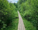 img_20260526_140904_131
