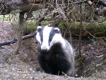 inshot_20240414_230517740
