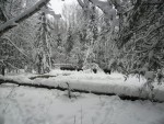 sam_0590