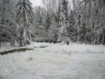 sam_0592
