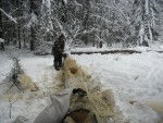 sam_0593