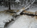 sam_0602