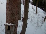 vid-20240209-wa0006-be-0-